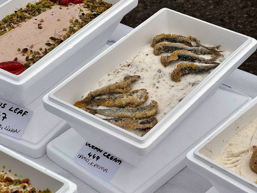 Dünyanın en fazla çeşidi olan dondurması hayrete düşürdü! Guinness Rekorlar Kitabı'na adını yazdırdı 11